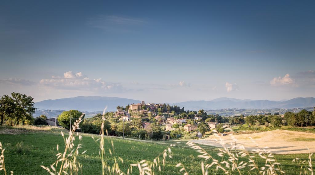 Domus In Castro Bed & Breakfast Montecchio  Exterior photo